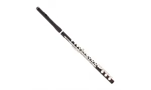 SERIALIZED-FLUTE